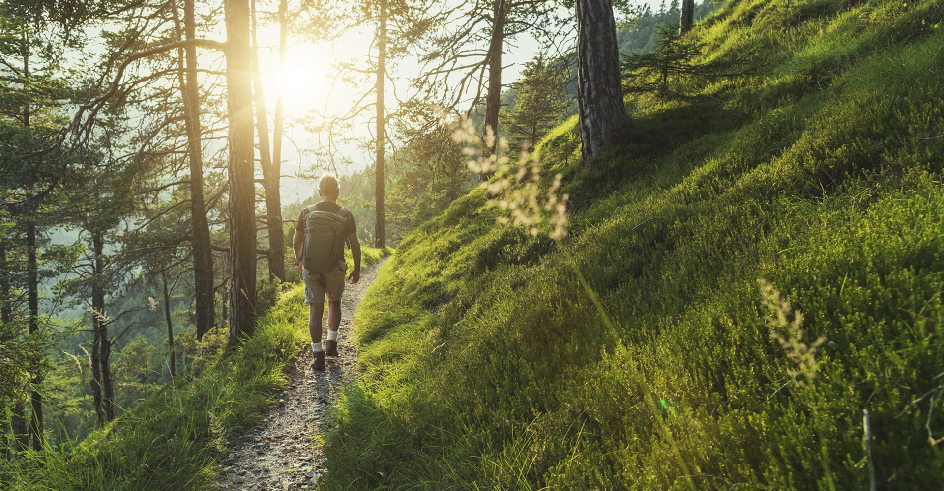 Passeggiata rigenerante nel bosco