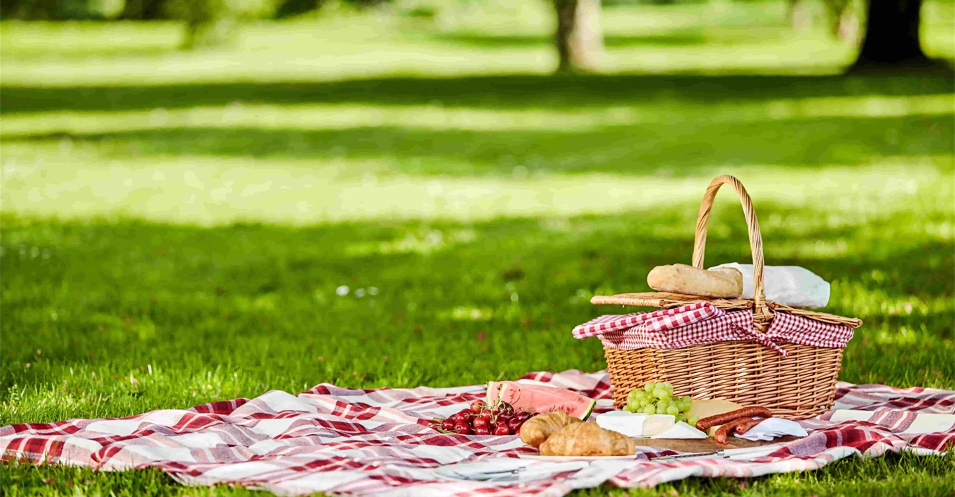 Pic nic gourmet in mezzo alla natura