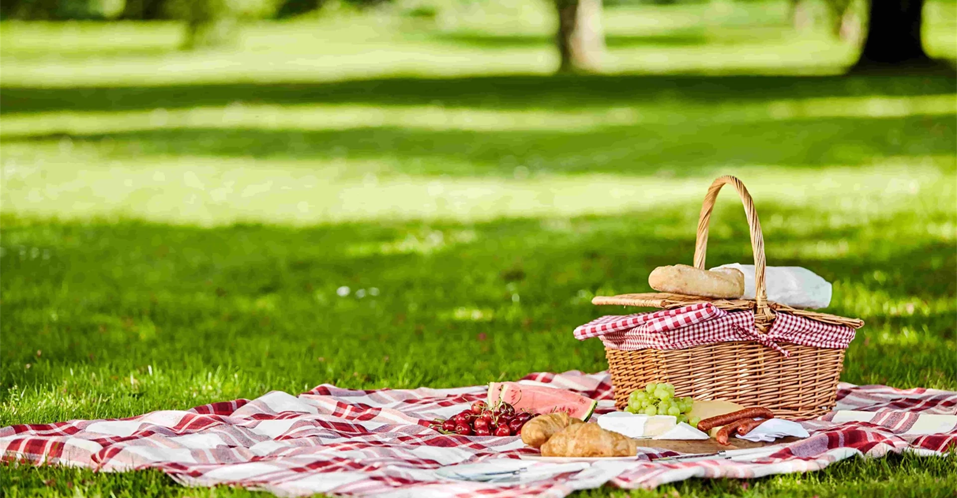 Gourmet Picnic in the middle of Nature